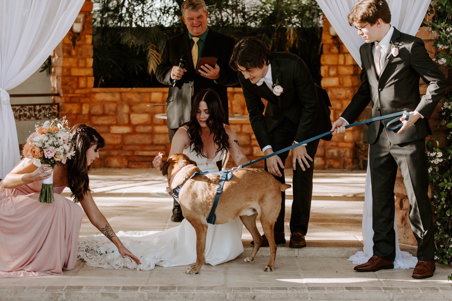 Dog at wedding ceremony Arizona
