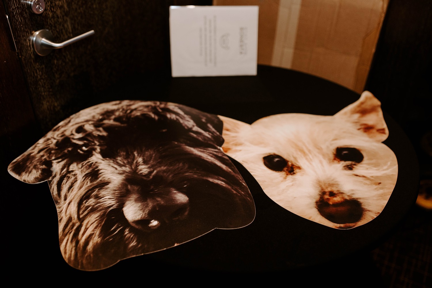 Wedding Photo Booth Props with Pets Faces