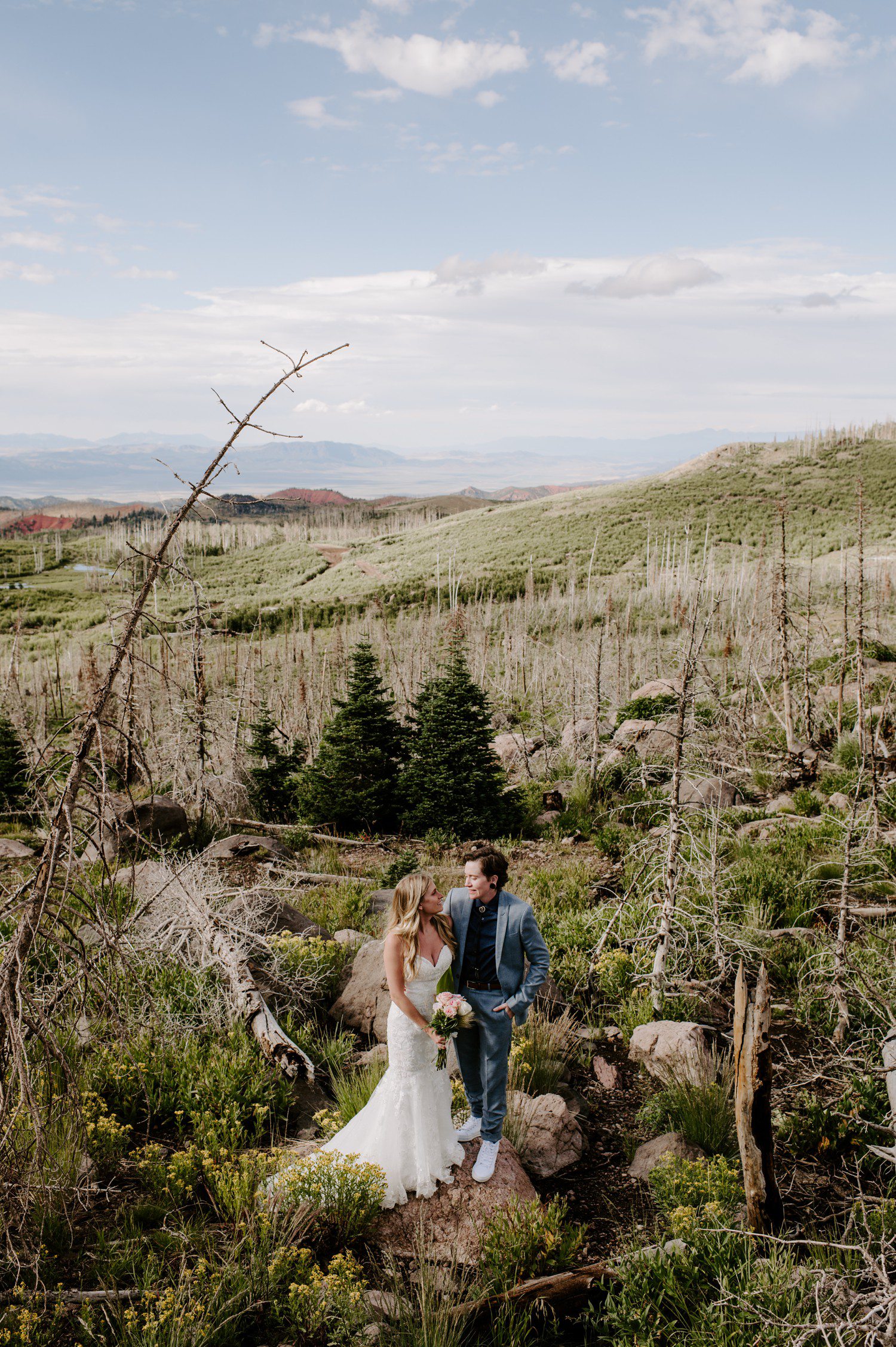 Brian Head Utah wedding photos.