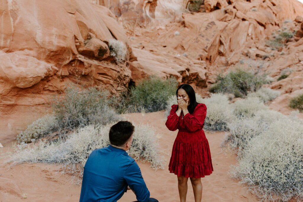 Surprise proposal reaction at valley of fire.