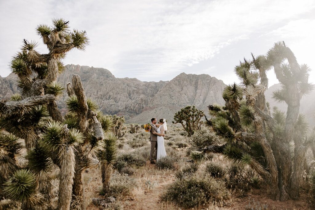 couple hold each other between desert plants by Las Vegas wedding photographer