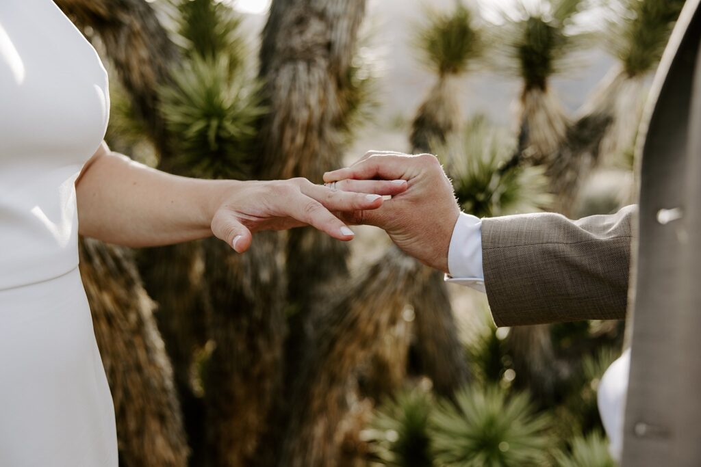 groom places ring on bride's finger at Spring Mountains elopement