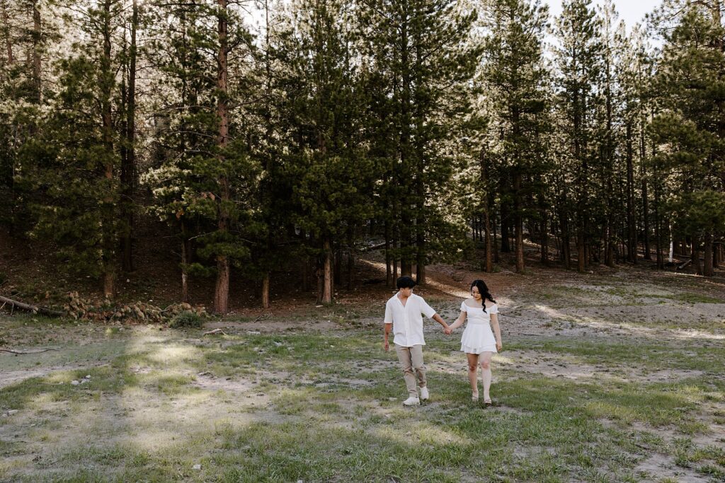 couple holds hands during Mt. Charleston engagement session 