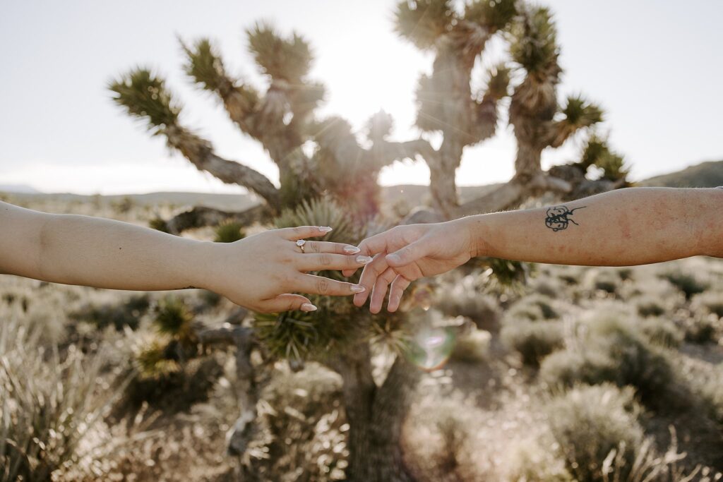 man and woman reach hands toward each other in front of desert plants by Katelyn Faye Photography