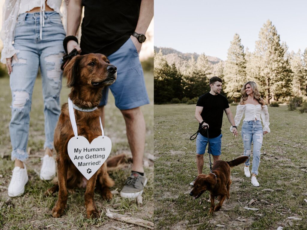 dog wears sign around neck while owners stand behind by Las Vegas wedding photographer