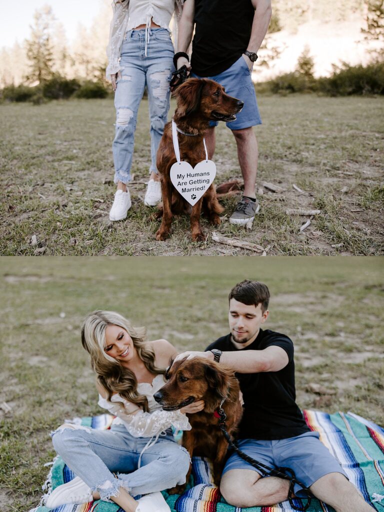 couple pet dog wearing sign about wedding by Katelyn Faye Photography