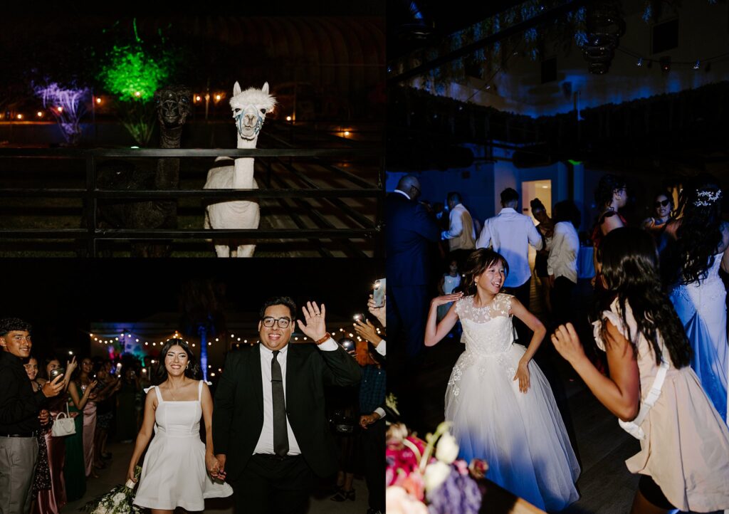 bride and groom wave at guests as they exit by Las Vegas wedding photographer