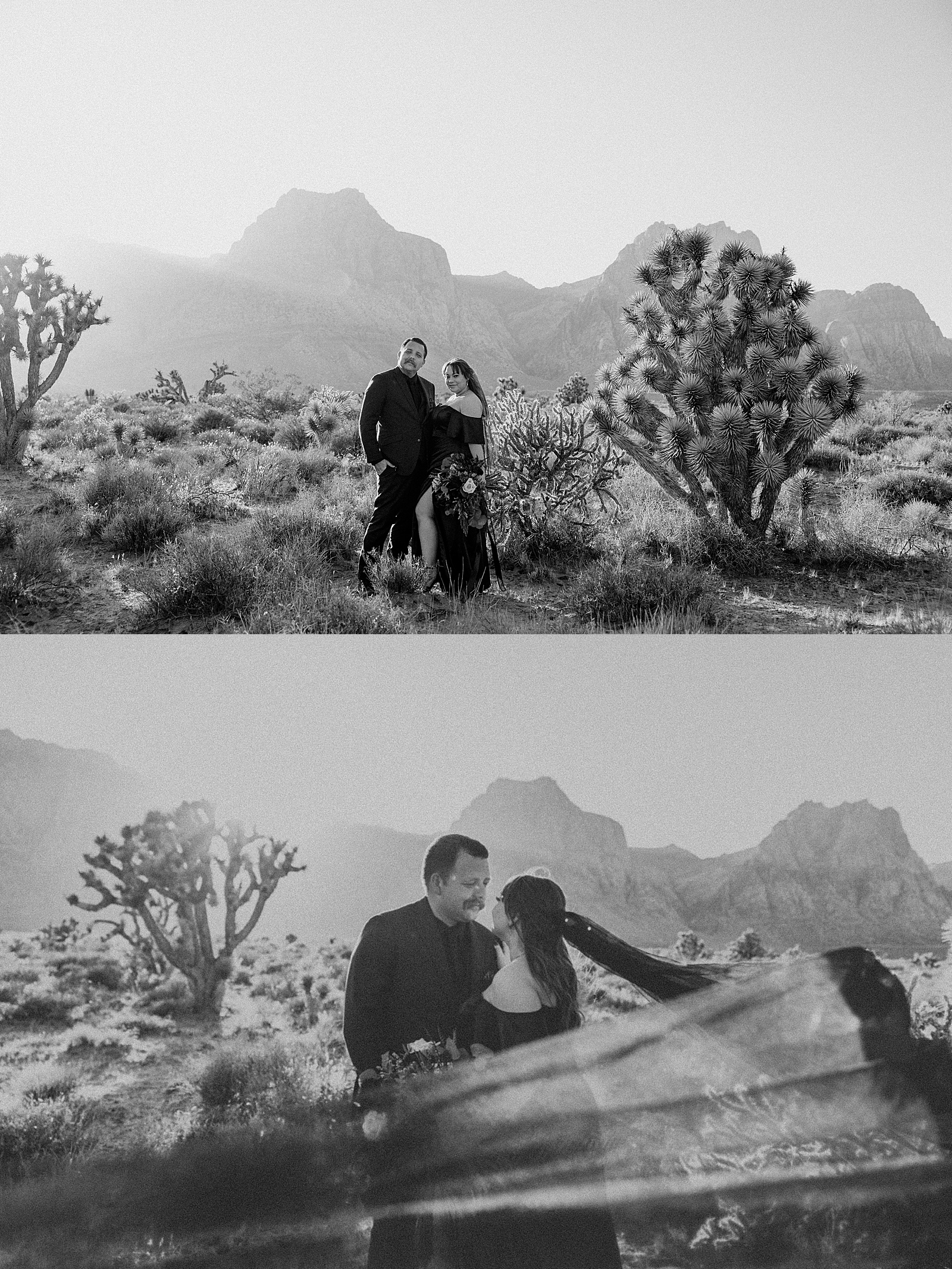 bride in black dress looks at her groom during golden hour  by Las Vegas Elopement Photographer