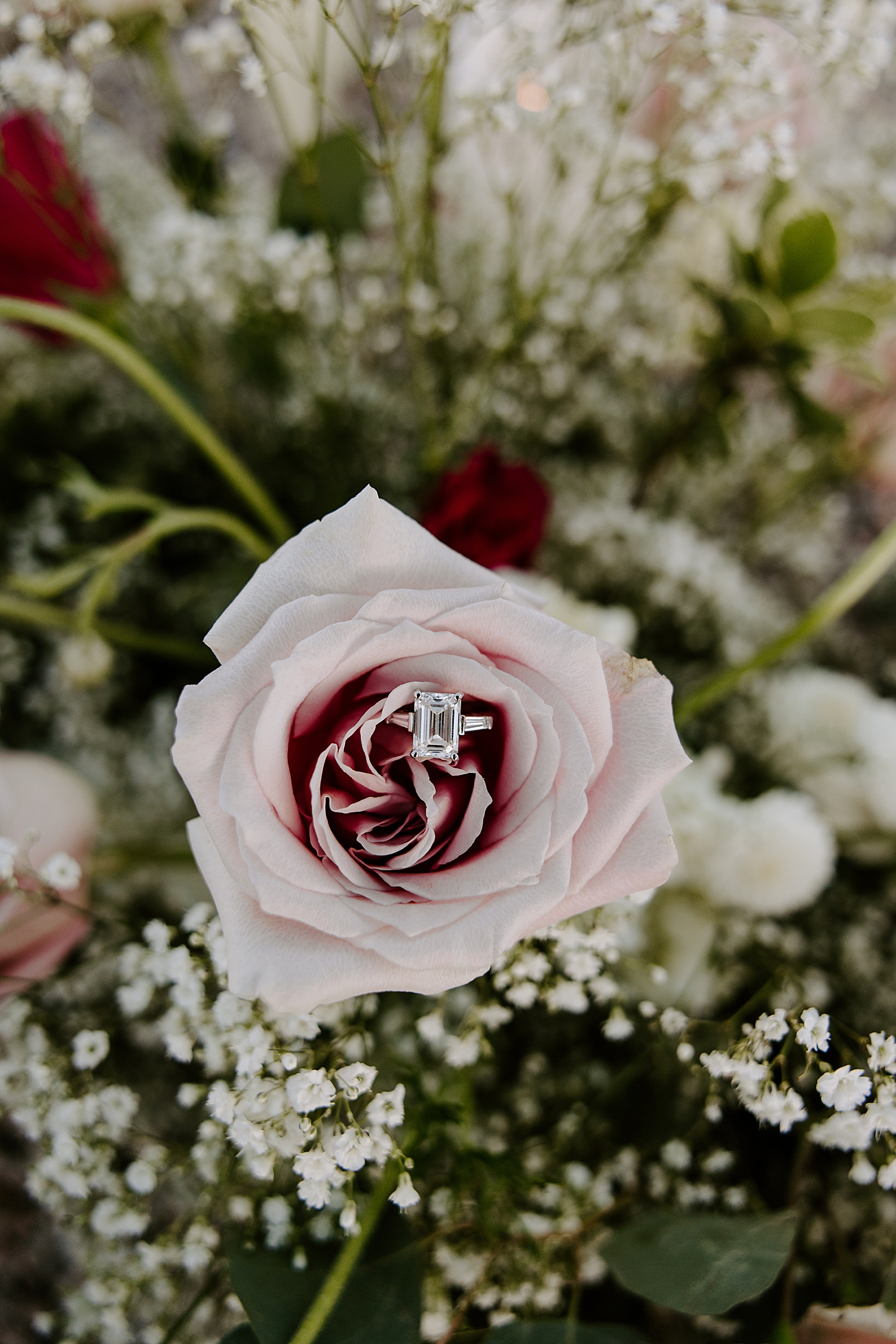 big diamond ring in pink rose for desert surprise proposal