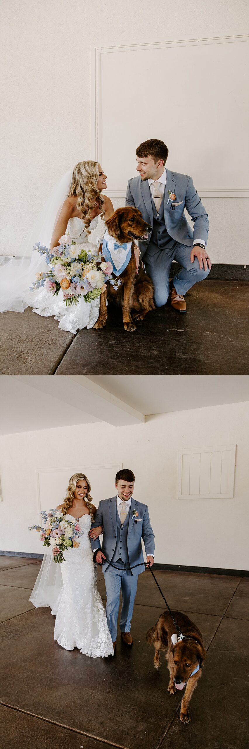 Husband and wife walk with their dog who is dressed in a tux by Katelyn Faye Photography