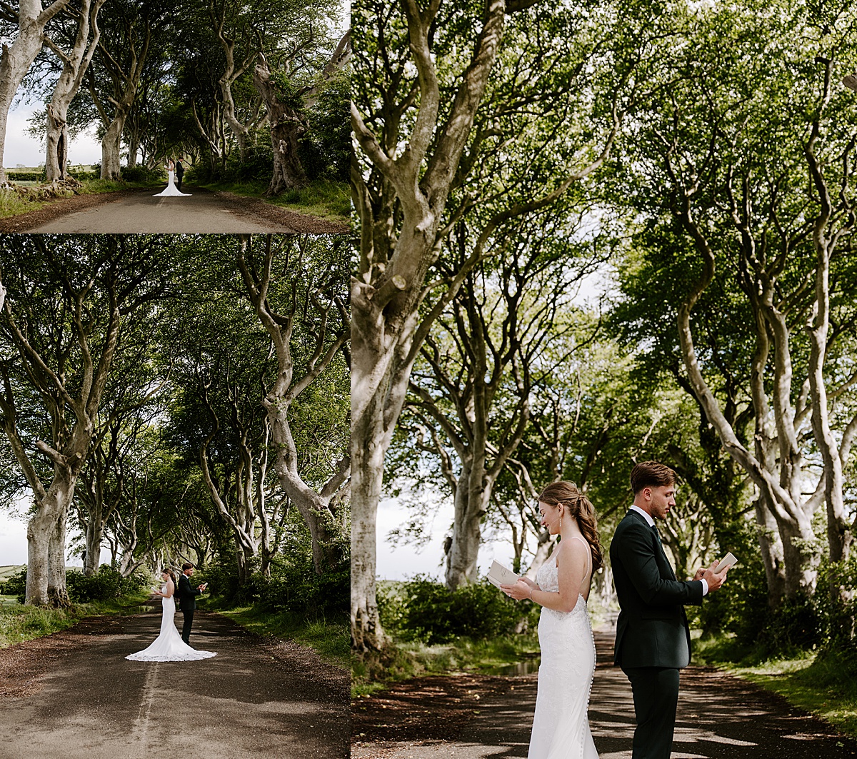 Bride and groom read notes written to each other under scraggly trees after their Dunluce Castle Wedding